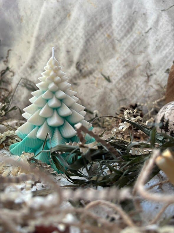 Елха „Twinkling“